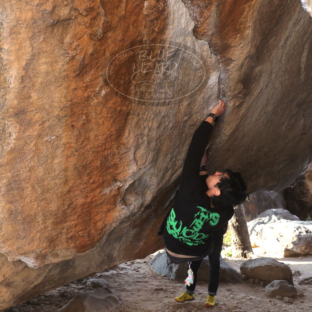 

Filename: SRM_20221124_1441040.jpg
Aperture: f/5.6
Shutter Speed: 1/500
Body: Canon EOS R6
Lens: Canon EF 16-35mm f/2.8 L