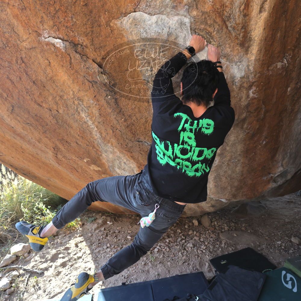 

Filename: SRM_20221124_1441292.jpg
Aperture: f/5.6
Shutter Speed: 1/500
Body: Canon EOS R6
Lens: Canon EF 16-35mm f/2.8 L