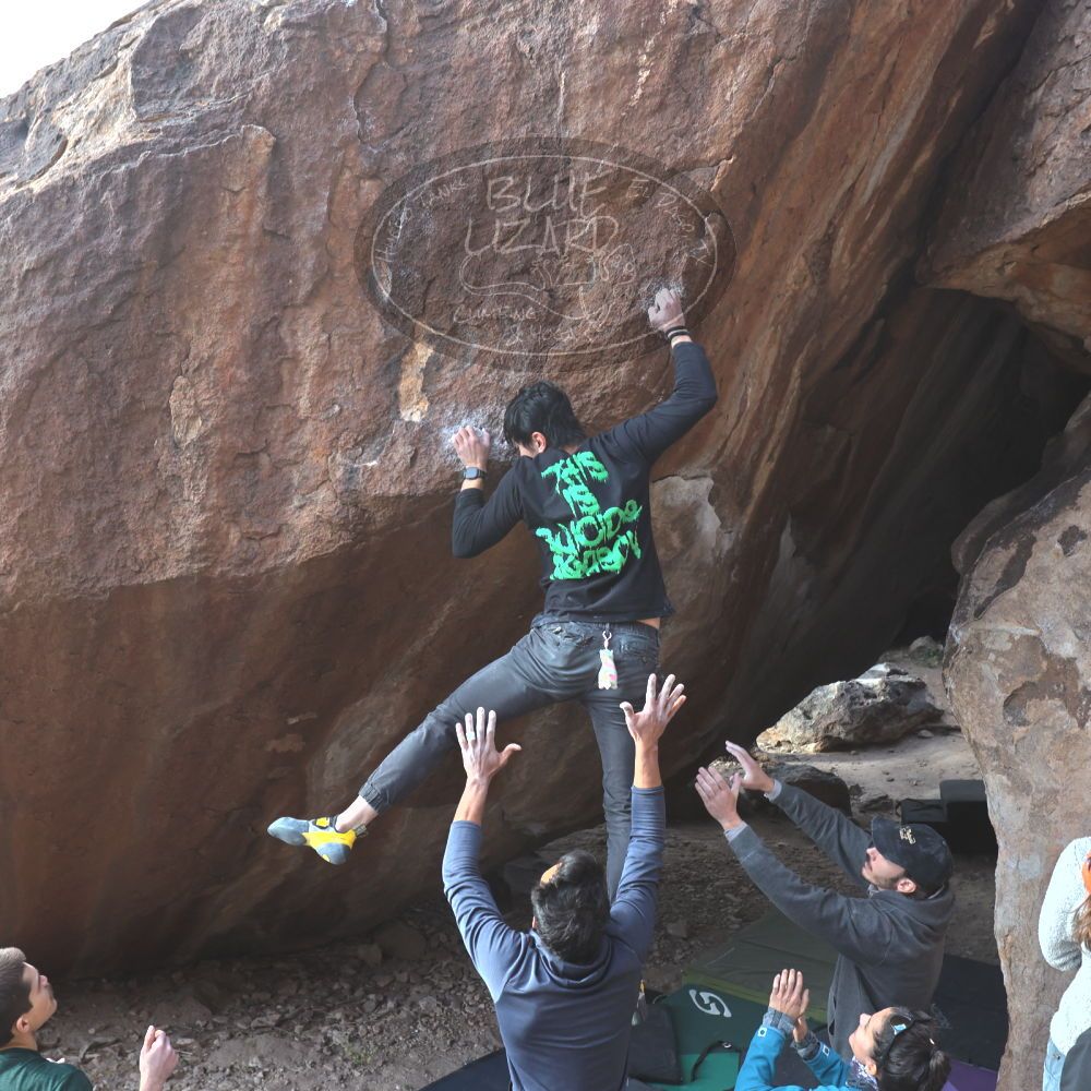 

Filename: SRM_20221124_1441581.jpg
Aperture: f/5.6
Shutter Speed: 1/500
Body: Canon EOS R6
Lens: Canon EF 16-35mm f/2.8 L