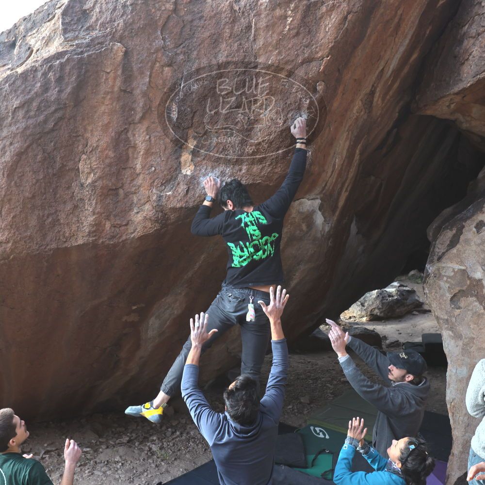 

Filename: SRM_20221124_1441591.jpg
Aperture: f/5.6
Shutter Speed: 1/500
Body: Canon EOS R6
Lens: Canon EF 16-35mm f/2.8 L