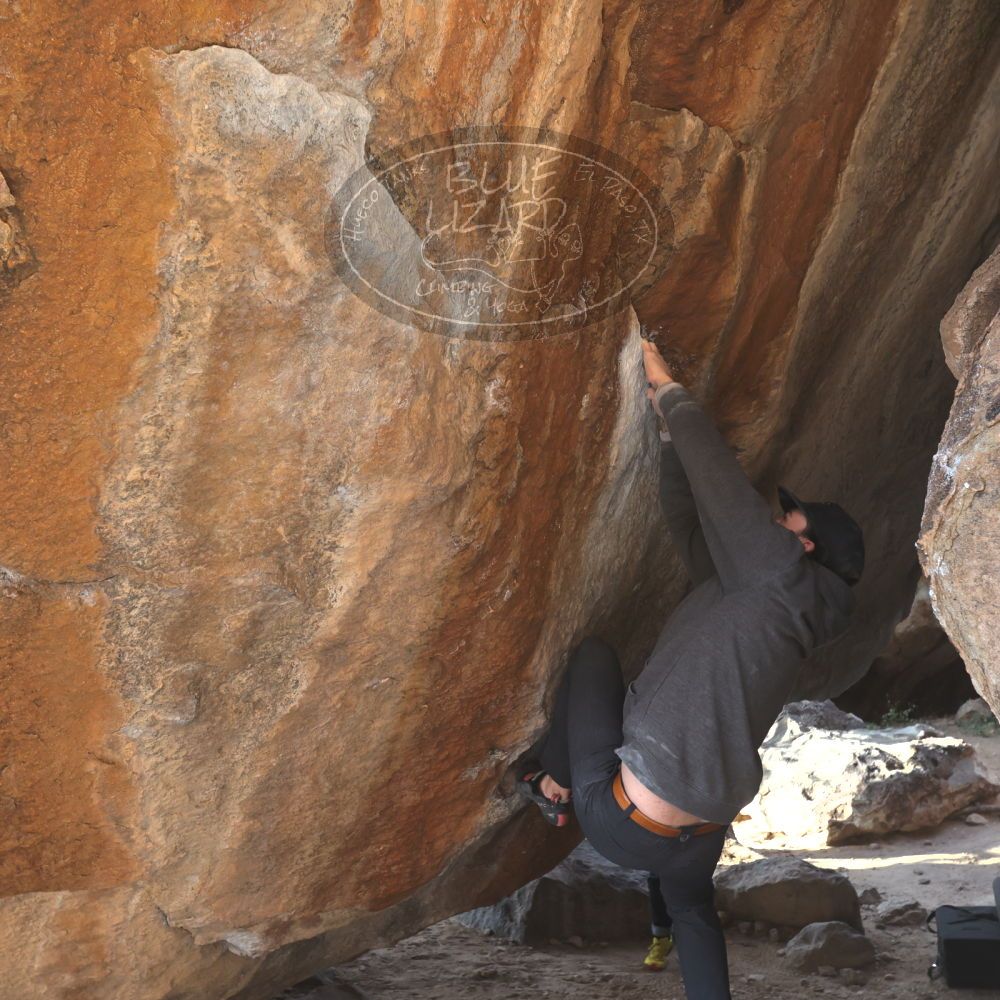 

Filename: SRM_20221124_1442580.jpg
Aperture: f/5.6
Shutter Speed: 1/500
Body: Canon EOS R6
Lens: Canon EF 16-35mm f/2.8 L