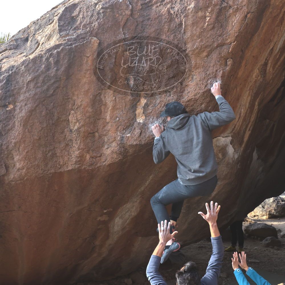 

Filename: SRM_20221124_1443300.jpg
Aperture: f/5.6
Shutter Speed: 1/500
Body: Canon EOS R6
Lens: Canon EF 16-35mm f/2.8 L