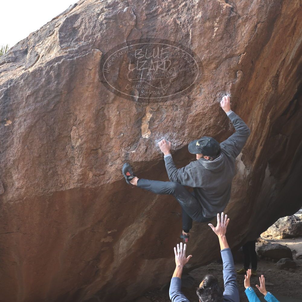 

Filename: SRM_20221124_1443310.jpg
Aperture: f/5.6
Shutter Speed: 1/500
Body: Canon EOS R6
Lens: Canon EF 16-35mm f/2.8 L