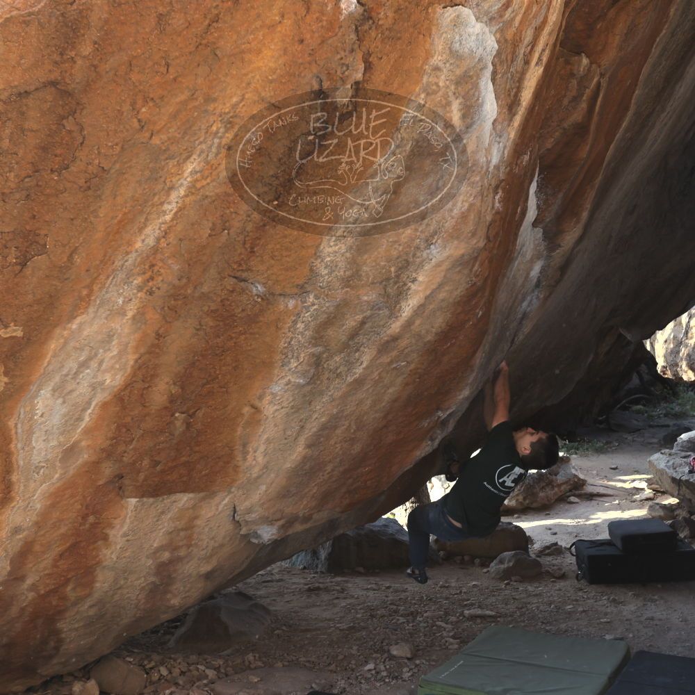 

Filename: SRM_20221124_1444210.jpg
Aperture: f/5.6
Shutter Speed: 1/500
Body: Canon EOS R6
Lens: Canon EF 16-35mm f/2.8 L