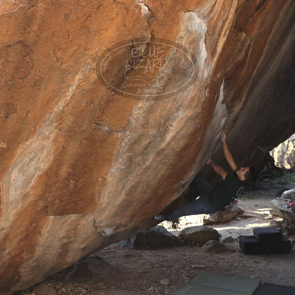 

Filename: SRM_20221124_1444220.jpg
Aperture: f/5.6
Shutter Speed: 1/500
Body: Canon EOS R6
Lens: Canon EF 16-35mm f/2.8 L