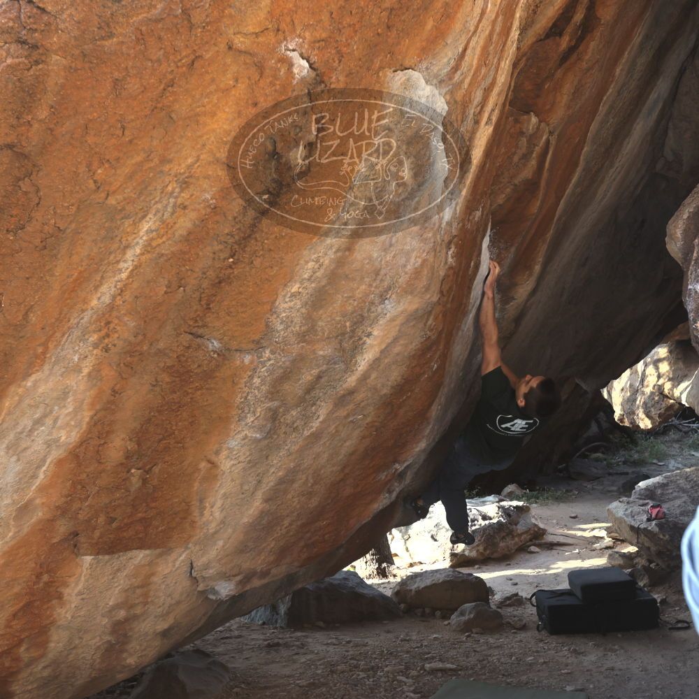 

Filename: SRM_20221124_1444270.jpg
Aperture: f/5.6
Shutter Speed: 1/500
Body: Canon EOS R6
Lens: Canon EF 16-35mm f/2.8 L