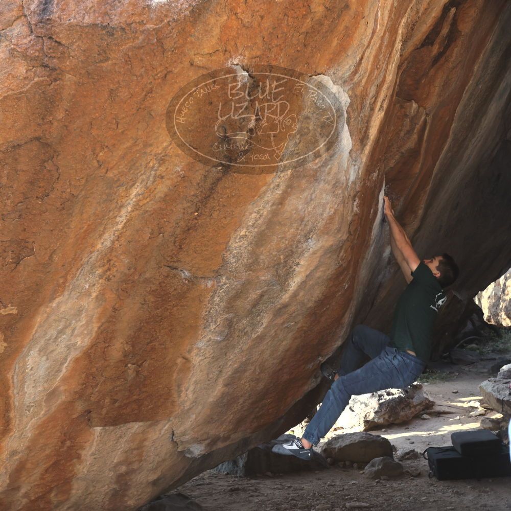 

Filename: SRM_20221124_1444320.jpg
Aperture: f/5.6
Shutter Speed: 1/500
Body: Canon EOS R6
Lens: Canon EF 16-35mm f/2.8 L