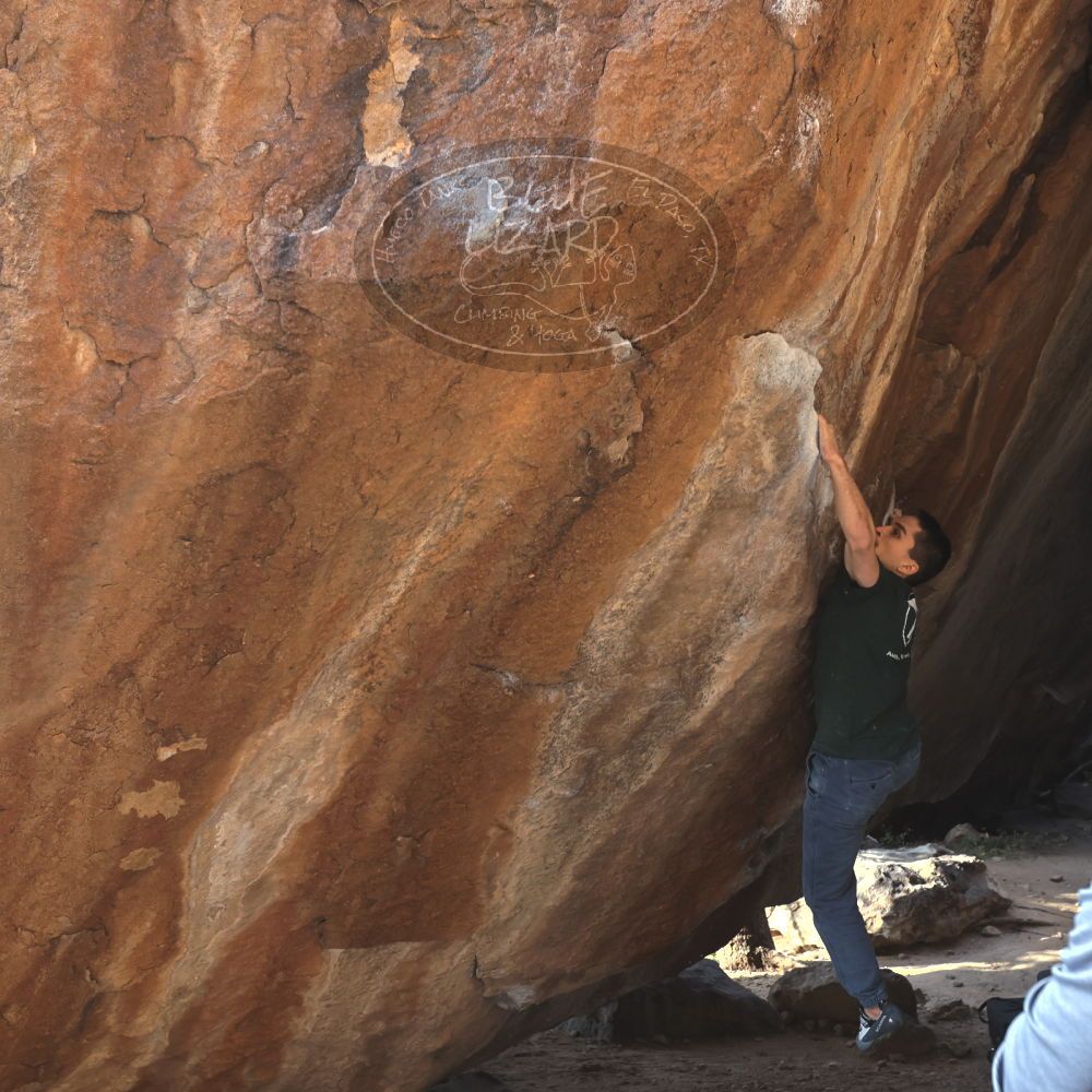 

Filename: SRM_20221124_1444400.jpg
Aperture: f/5.6
Shutter Speed: 1/500
Body: Canon EOS R6
Lens: Canon EF 16-35mm f/2.8 L