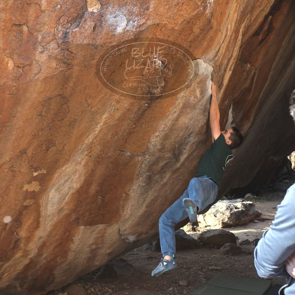 

Filename: SRM_20221124_1444420.jpg
Aperture: f/5.6
Shutter Speed: 1/500
Body: Canon EOS R6
Lens: Canon EF 16-35mm f/2.8 L