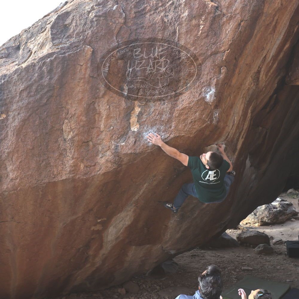 

Filename: SRM_20221124_1444570.jpg
Aperture: f/5.6
Shutter Speed: 1/500
Body: Canon EOS R6
Lens: Canon EF 16-35mm f/2.8 L