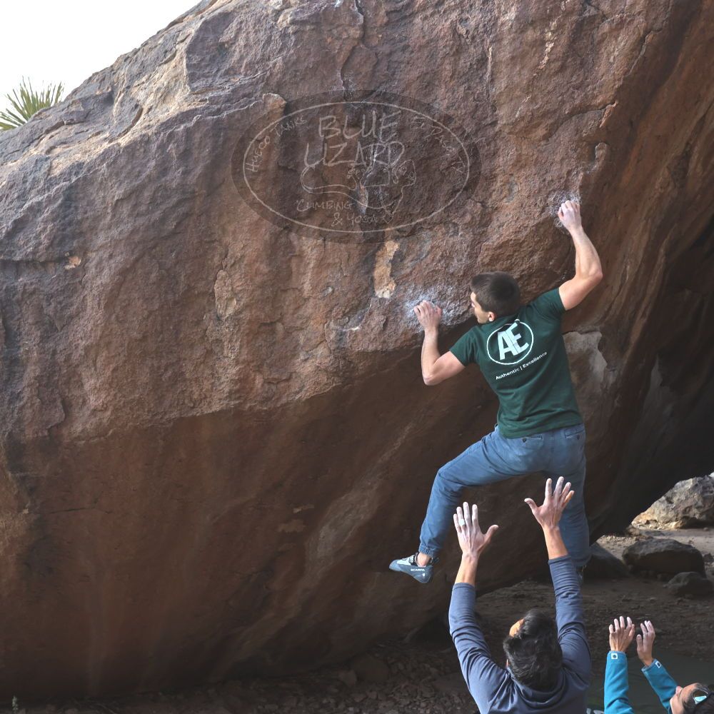 

Filename: SRM_20221124_1445050.jpg
Aperture: f/5.6
Shutter Speed: 1/500
Body: Canon EOS R6
Lens: Canon EF 16-35mm f/2.8 L