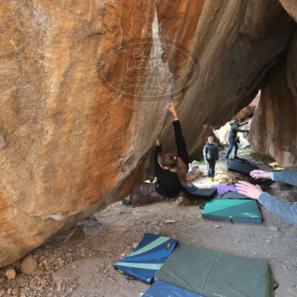 

Filename: SRM_20221124_1454440.jpg
Aperture: f/5.6
Shutter Speed: 1/500
Body: Canon EOS R6
Lens: Canon EF 16-35mm f/2.8 L