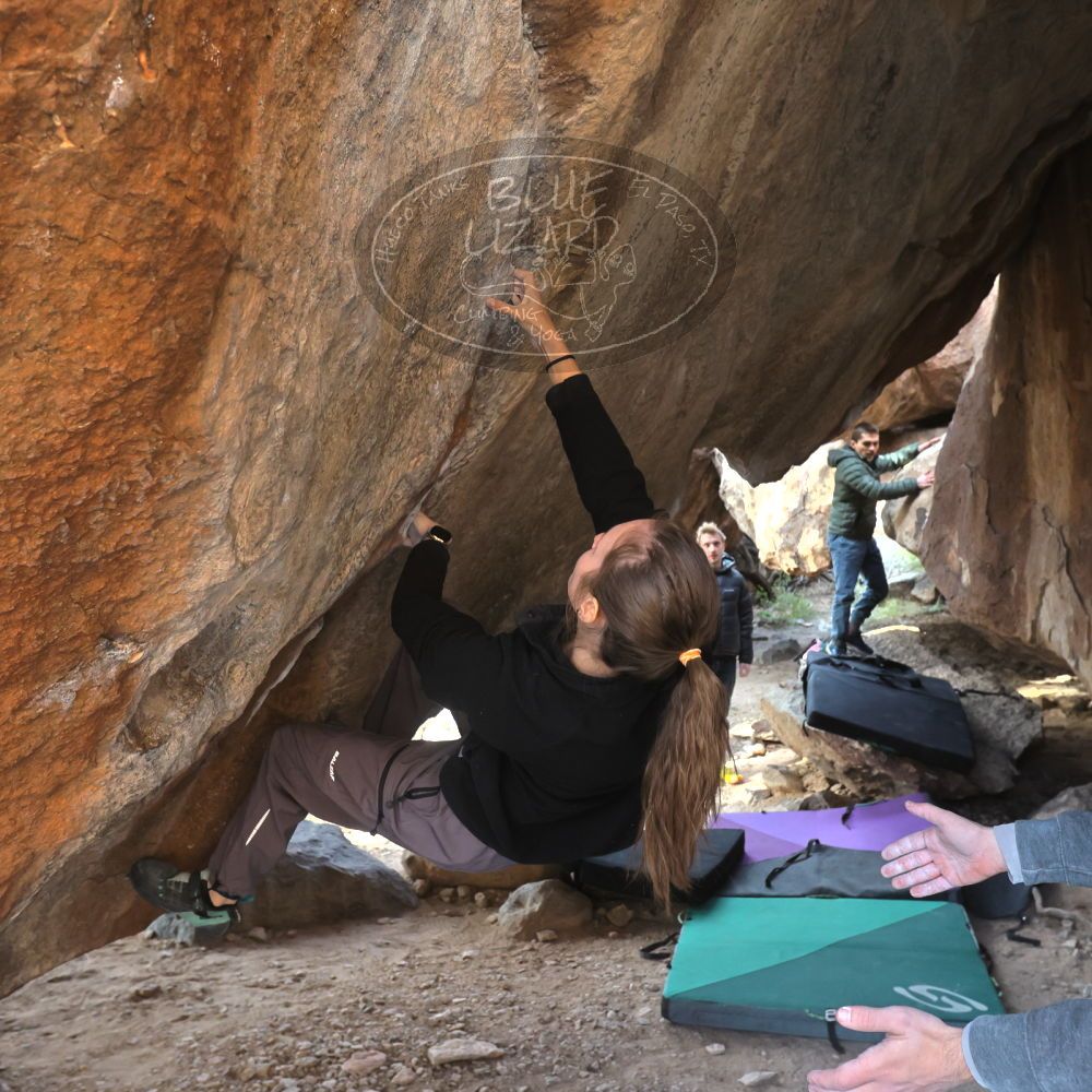 

Filename: SRM_20221124_1454450.jpg
Aperture: f/5.6
Shutter Speed: 1/500
Body: Canon EOS R6
Lens: Canon EF 16-35mm f/2.8 L