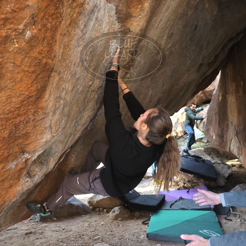 

Filename: SRM_20221124_1454460.jpg
Aperture: f/5.6
Shutter Speed: 1/500
Body: Canon EOS R6
Lens: Canon EF 16-35mm f/2.8 L