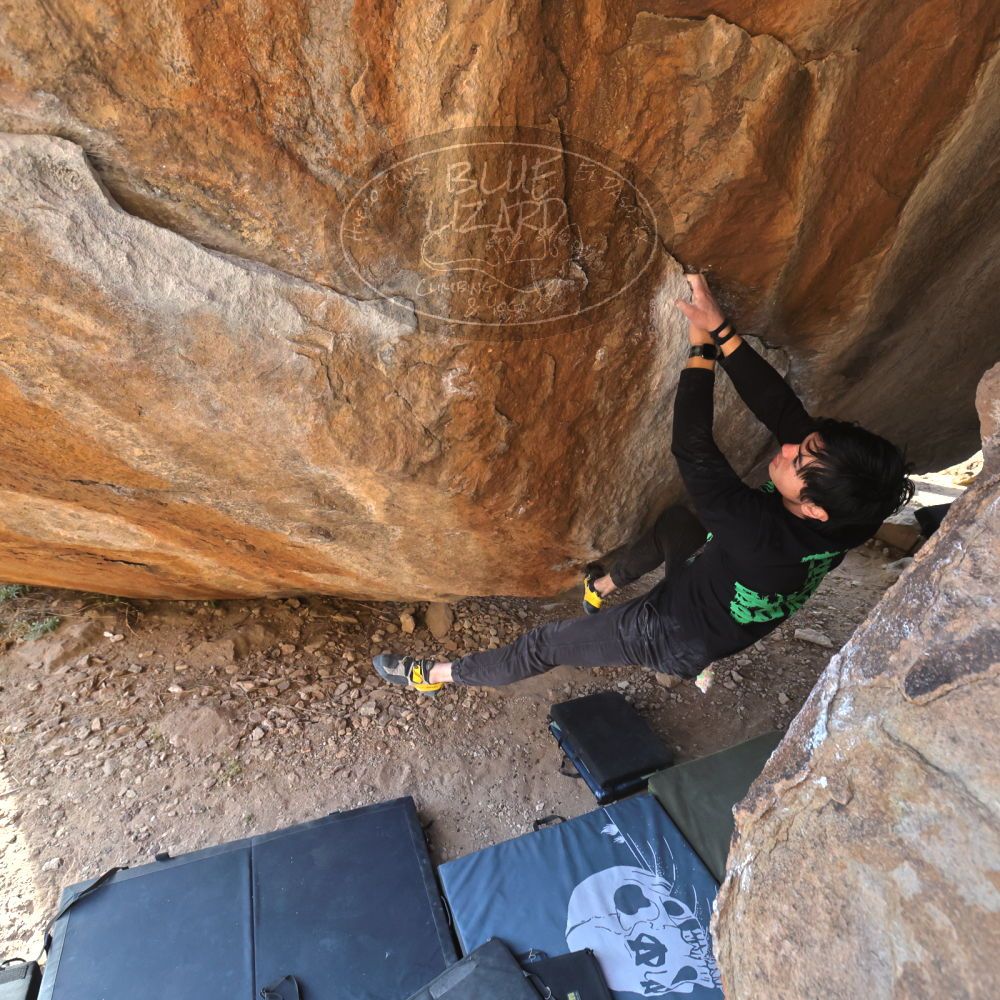 

Filename: SRM_20221124_1500460.jpg
Aperture: f/5.6
Shutter Speed: 1/500
Body: Canon EOS R6
Lens: Canon EF 16-35mm f/2.8 L