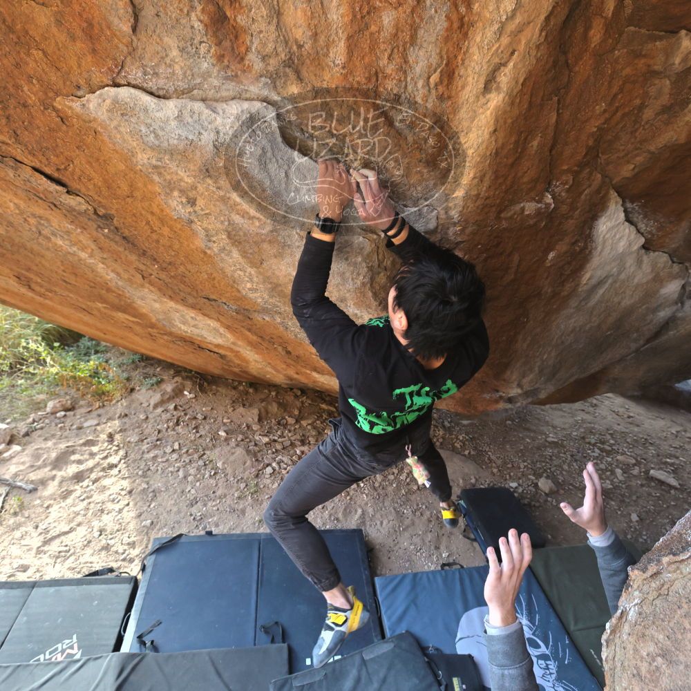 

Filename: SRM_20221124_1500520.jpg
Aperture: f/5.6
Shutter Speed: 1/500
Body: Canon EOS R6
Lens: Canon EF 16-35mm f/2.8 L