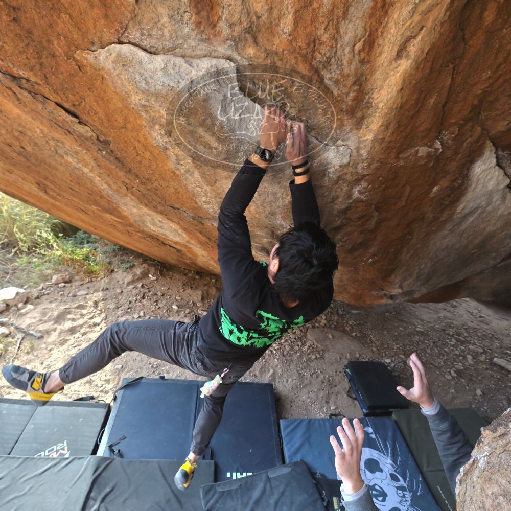 

Filename: SRM_20221124_1500530.jpg
Aperture: f/5.6
Shutter Speed: 1/500
Body: Canon EOS R6
Lens: Canon EF 16-35mm f/2.8 L