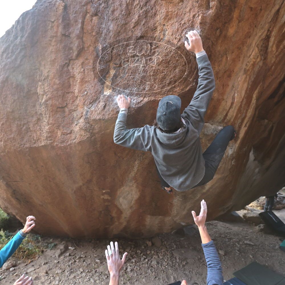 

Filename: SRM_20221124_1507590.jpg
Aperture: f/5.6
Shutter Speed: 1/500
Body: Canon EOS R6
Lens: Canon EF 16-35mm f/2.8 L