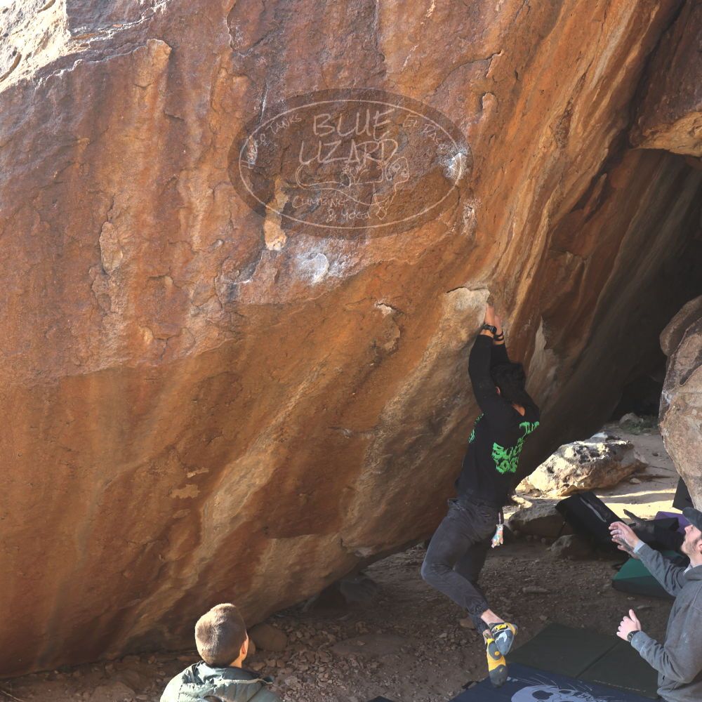 

Filename: SRM_20221124_1513040.jpg
Aperture: f/5.6
Shutter Speed: 1/500
Body: Canon EOS R6
Lens: Canon EF 16-35mm f/2.8 L