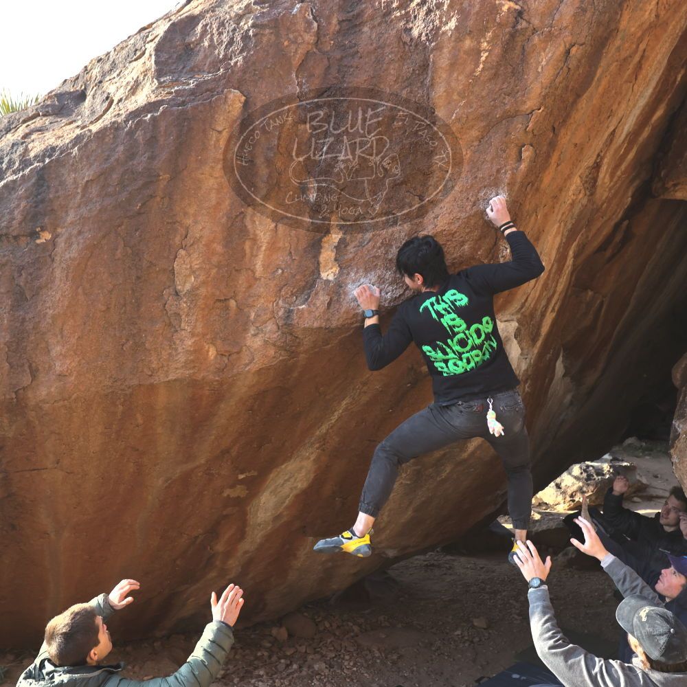 

Filename: SRM_20221124_1513320.jpg
Aperture: f/5.6
Shutter Speed: 1/500
Body: Canon EOS R6
Lens: Canon EF 16-35mm f/2.8 L