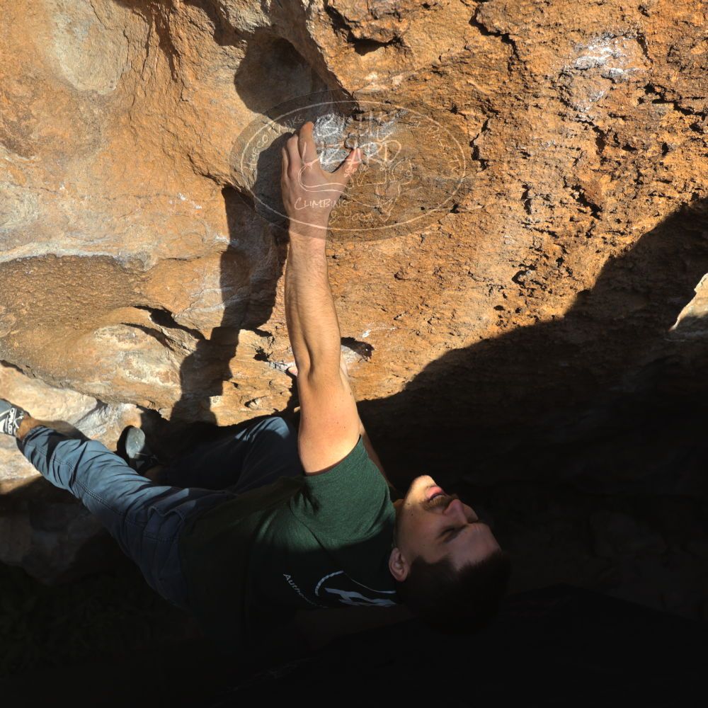 

Filename: SRM_20221124_1529030.jpg
Aperture: f/5.6
Shutter Speed: 1/500
Body: Canon EOS R6
Lens: Canon EF 16-35mm f/2.8 L