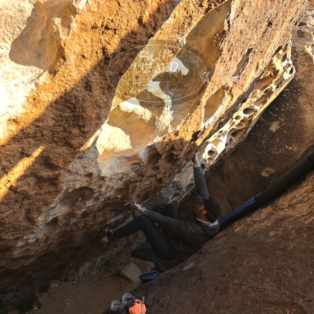 

Filename: SRM_20221124_1541320.jpg
Aperture: f/5.6
Shutter Speed: 1/500
Body: Canon EOS R6
Lens: Canon EF 16-35mm f/2.8 L