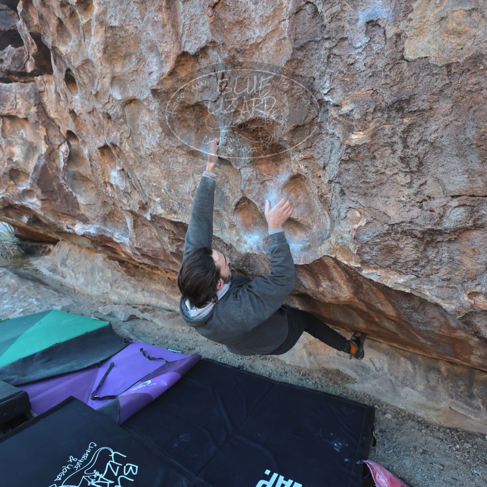 

Filename: SRM_20221124_1618000.jpg
Aperture: f/5.6
Shutter Speed: 1/500
Body: Canon EOS R6
Lens: Canon EF 16-35mm f/2.8 L