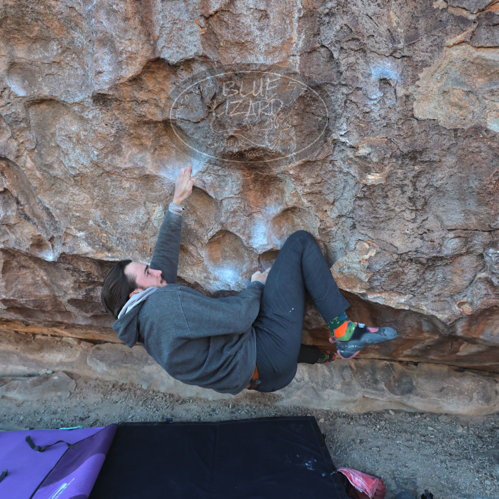 

Filename: SRM_20221124_1620290.jpg
Aperture: f/5.6
Shutter Speed: 1/500
Body: Canon EOS R6
Lens: Canon EF 16-35mm f/2.8 L