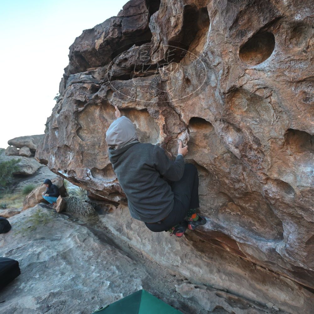 

Filename: SRM_20221124_1627140.jpg
Aperture: f/5.6
Shutter Speed: 1/500
Body: Canon EOS R6
Lens: Canon EF 16-35mm f/2.8 L