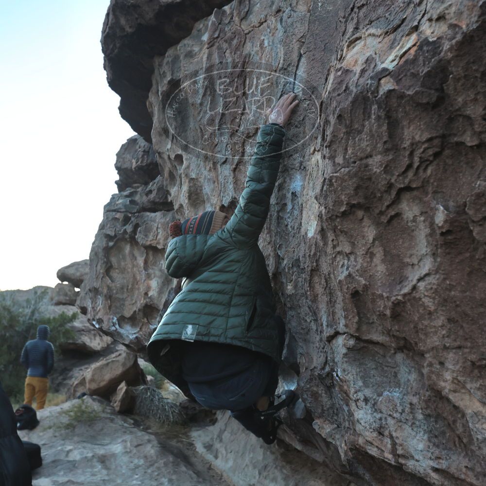 

Filename: SRM_20221124_1647440.jpg
Aperture: f/5.6
Shutter Speed: 1/500
Body: Canon EOS R6
Lens: Canon EF 16-35mm f/2.8 L