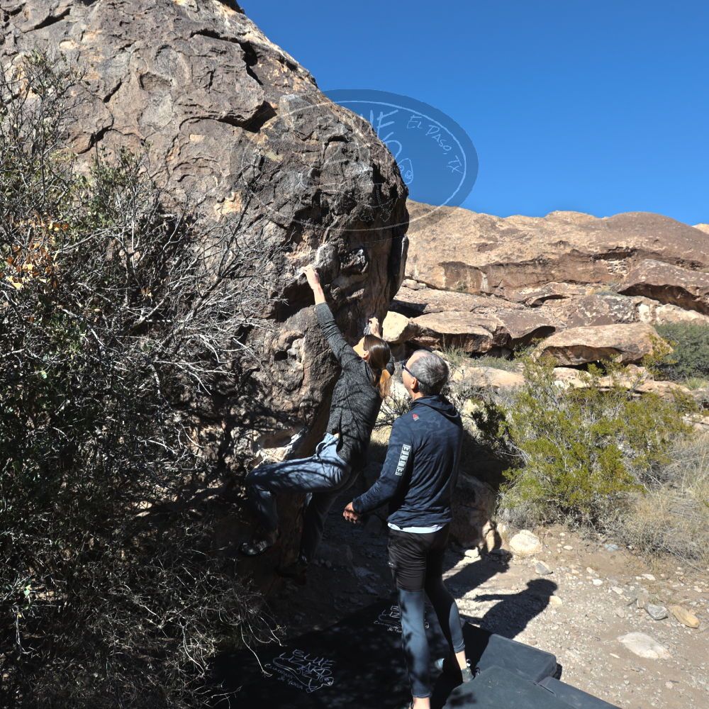 

Filename: SRM_20221127_1222470.jpg
Aperture: f/8.0
Shutter Speed: 1/500
Body: Canon EOS R6
Lens: Canon EF 16-35mm f/2.8 L