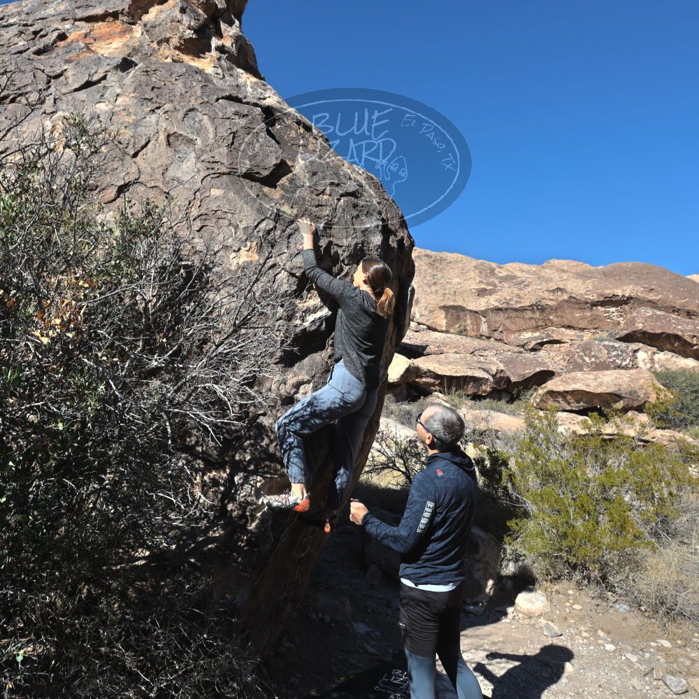 

Filename: SRM_20221127_1223030.jpg
Aperture: f/8.0
Shutter Speed: 1/500
Body: Canon EOS R6
Lens: Canon EF 16-35mm f/2.8 L