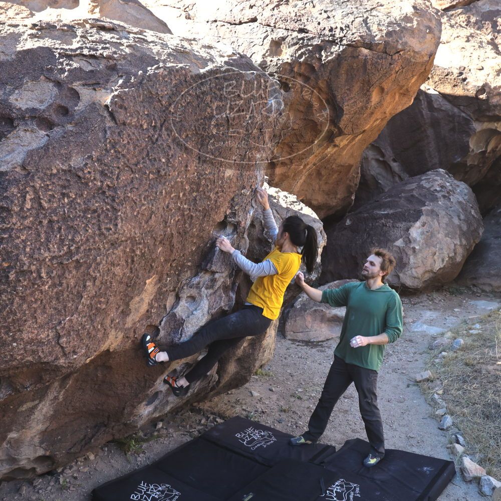 

Filename: SRM_20221127_1225090.jpg
Aperture: f/8.0
Shutter Speed: 1/500
Body: Canon EOS R6
Lens: Canon EF 16-35mm f/2.8 L