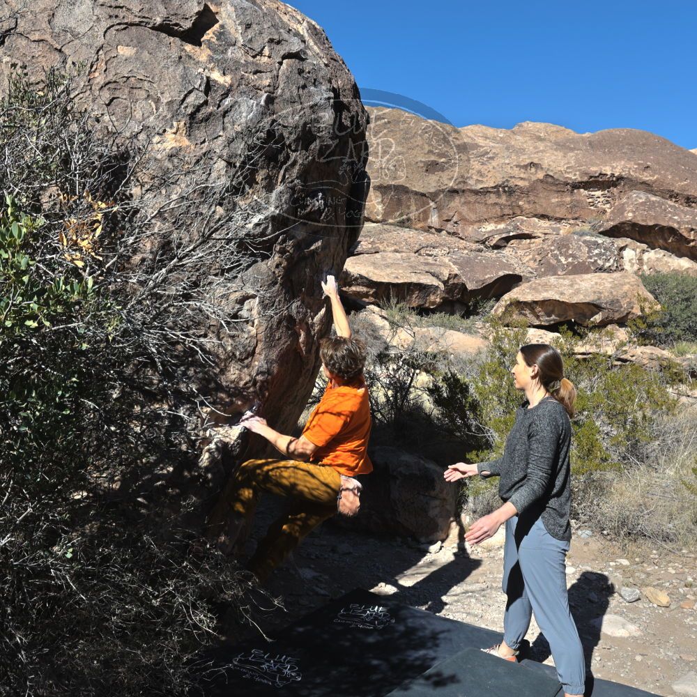 

Filename: SRM_20221127_1226160.jpg
Aperture: f/8.0
Shutter Speed: 1/500
Body: Canon EOS R6
Lens: Canon EF 16-35mm f/2.8 L