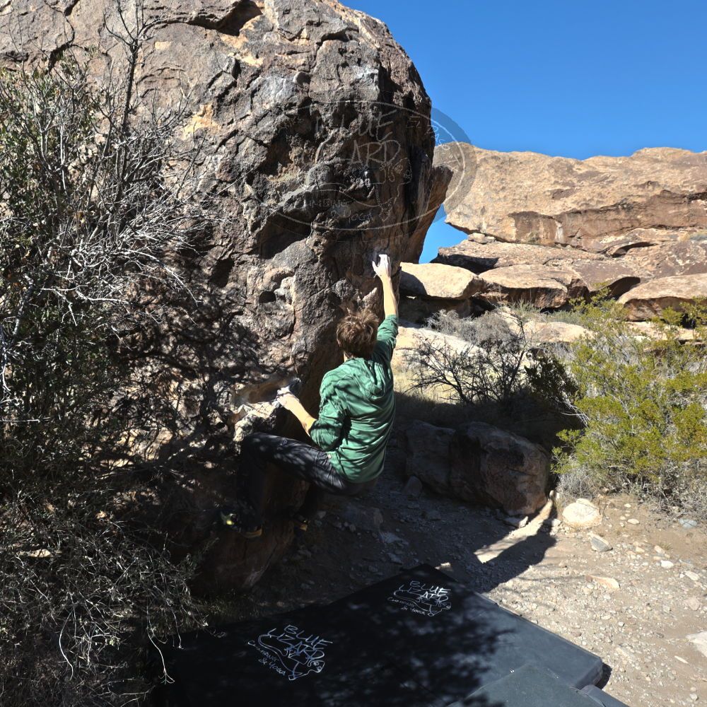 

Filename: SRM_20221127_1229170.jpg
Aperture: f/8.0
Shutter Speed: 1/500
Body: Canon EOS R6
Lens: Canon EF 16-35mm f/2.8 L