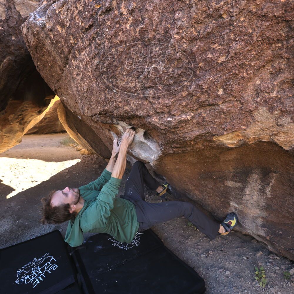 

Filename: SRM_20221127_1236340.jpg
Aperture: f/5.6
Shutter Speed: 1/500
Body: Canon EOS R6
Lens: Canon EF 16-35mm f/2.8 L