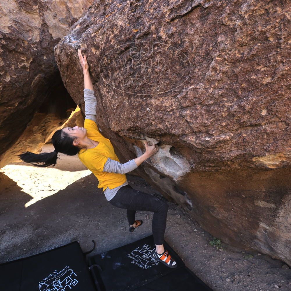 

Filename: SRM_20221127_1237521.jpg
Aperture: f/5.6
Shutter Speed: 1/500
Body: Canon EOS R6
Lens: Canon EF 16-35mm f/2.8 L