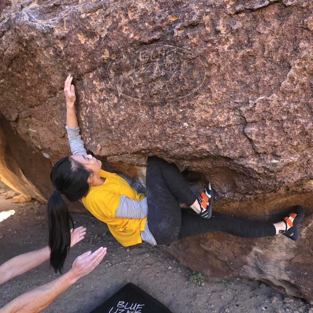 

Filename: SRM_20221127_1238370.jpg
Aperture: f/5.6
Shutter Speed: 1/500
Body: Canon EOS R6
Lens: Canon EF 16-35mm f/2.8 L