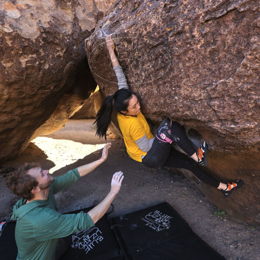 

Filename: SRM_20221127_1243130.jpg
Aperture: f/5.6
Shutter Speed: 1/500
Body: Canon EOS R6
Lens: Canon EF 16-35mm f/2.8 L