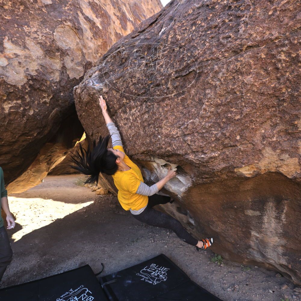 

Filename: SRM_20221127_1251000.jpg
Aperture: f/5.6
Shutter Speed: 1/500
Body: Canon EOS R6
Lens: Canon EF 16-35mm f/2.8 L