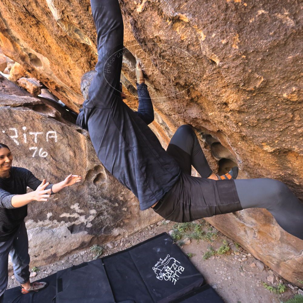 

Filename: SRM_20221127_1303180.jpg
Aperture: f/5.6
Shutter Speed: 1/500
Body: Canon EOS R6
Lens: Canon EF 16-35mm f/2.8 L