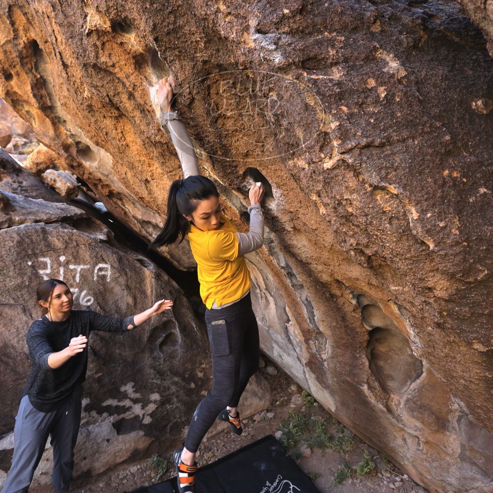 

Filename: SRM_20221127_1304270.jpg
Aperture: f/5.6
Shutter Speed: 1/500
Body: Canon EOS R6
Lens: Canon EF 16-35mm f/2.8 L