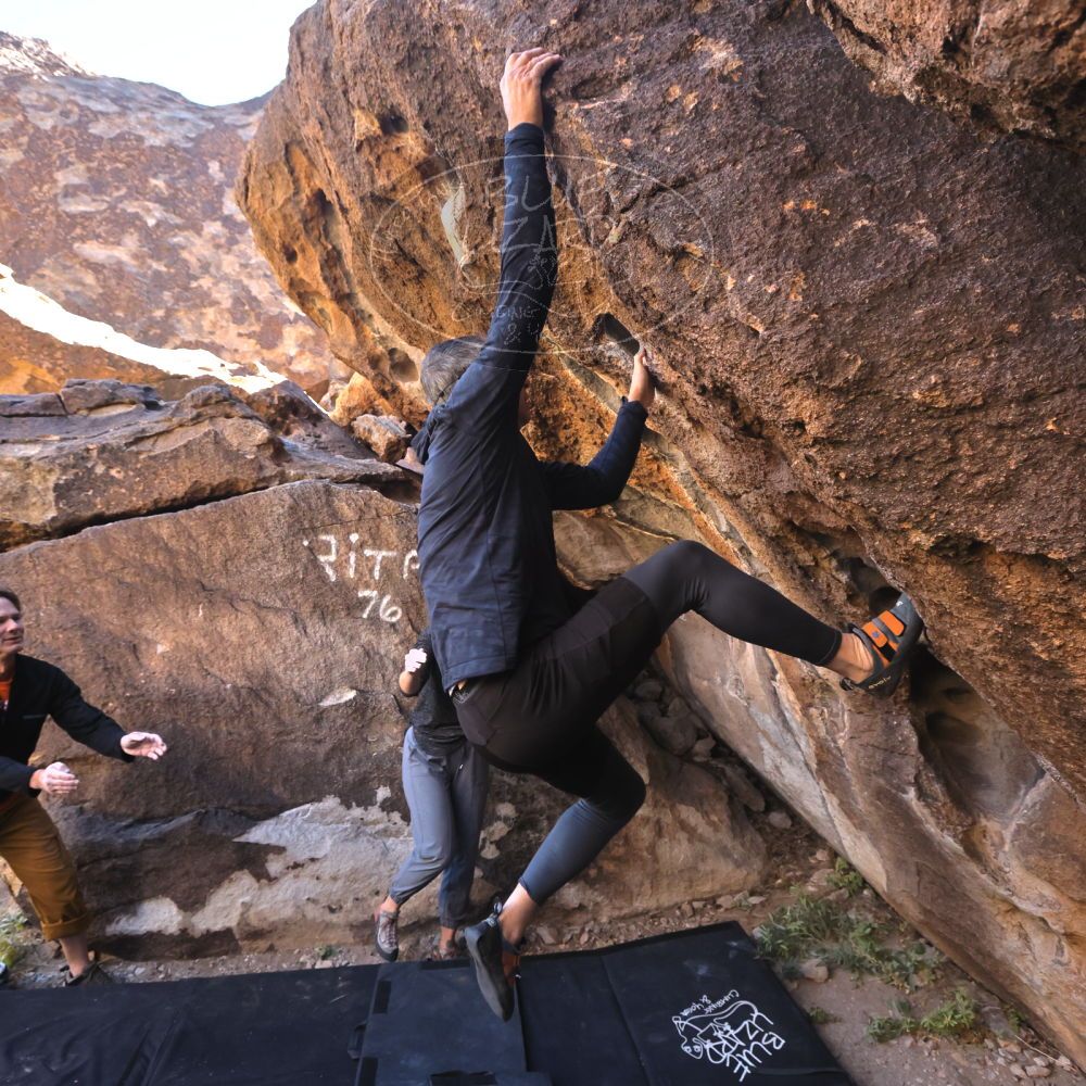 

Filename: SRM_20221127_1308220.jpg
Aperture: f/5.6
Shutter Speed: 1/500
Body: Canon EOS R6
Lens: Canon EF 16-35mm f/2.8 L