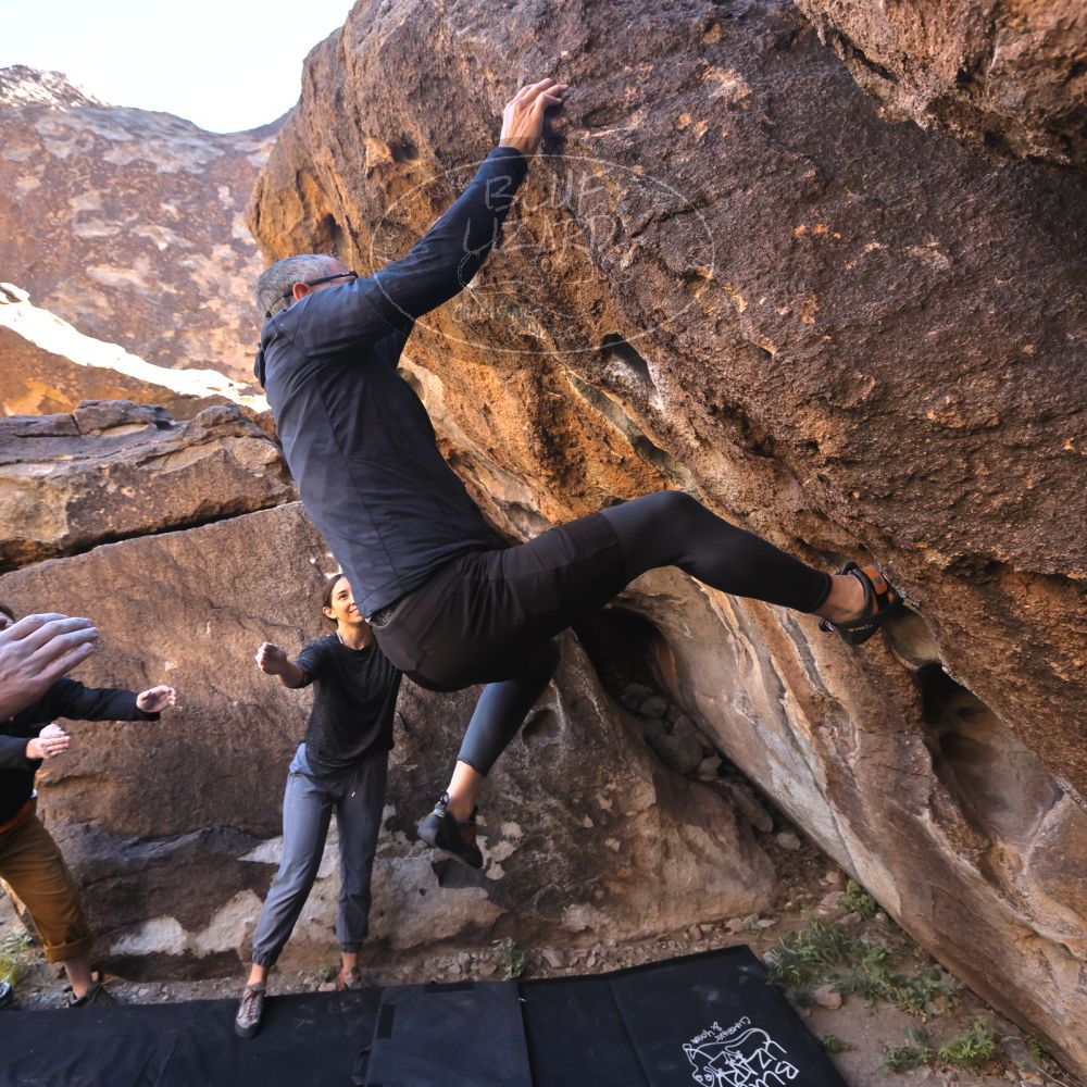 

Filename: SRM_20221127_1308281.jpg
Aperture: f/5.6
Shutter Speed: 1/500
Body: Canon EOS R6
Lens: Canon EF 16-35mm f/2.8 L