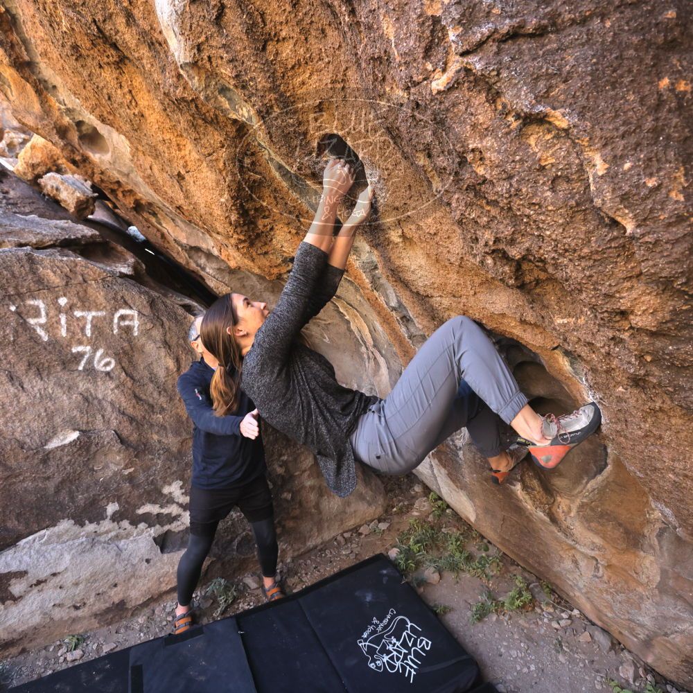 

Filename: SRM_20221127_1309150.jpg
Aperture: f/5.6
Shutter Speed: 1/500
Body: Canon EOS R6
Lens: Canon EF 16-35mm f/2.8 L