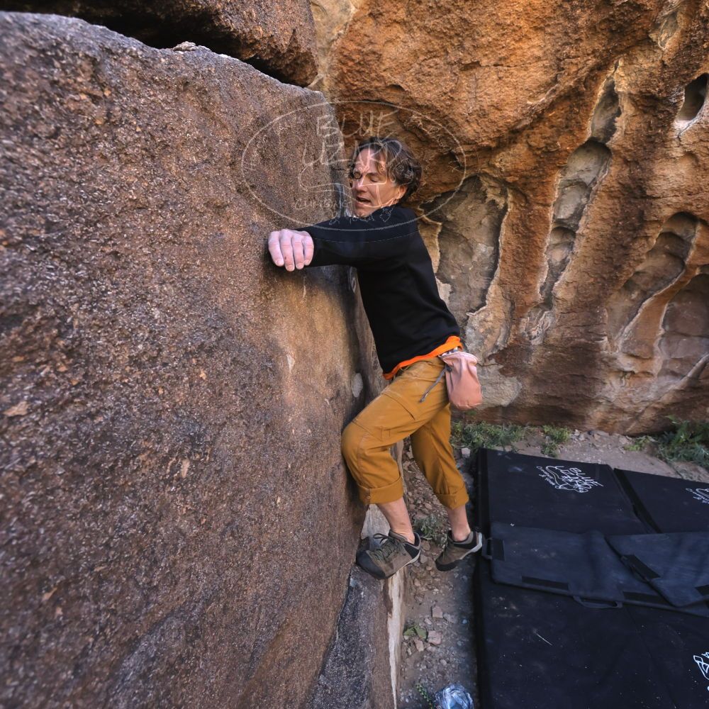 

Filename: SRM_20221127_1310320.jpg
Aperture: f/5.6
Shutter Speed: 1/500
Body: Canon EOS R6
Lens: Canon EF 16-35mm f/2.8 L