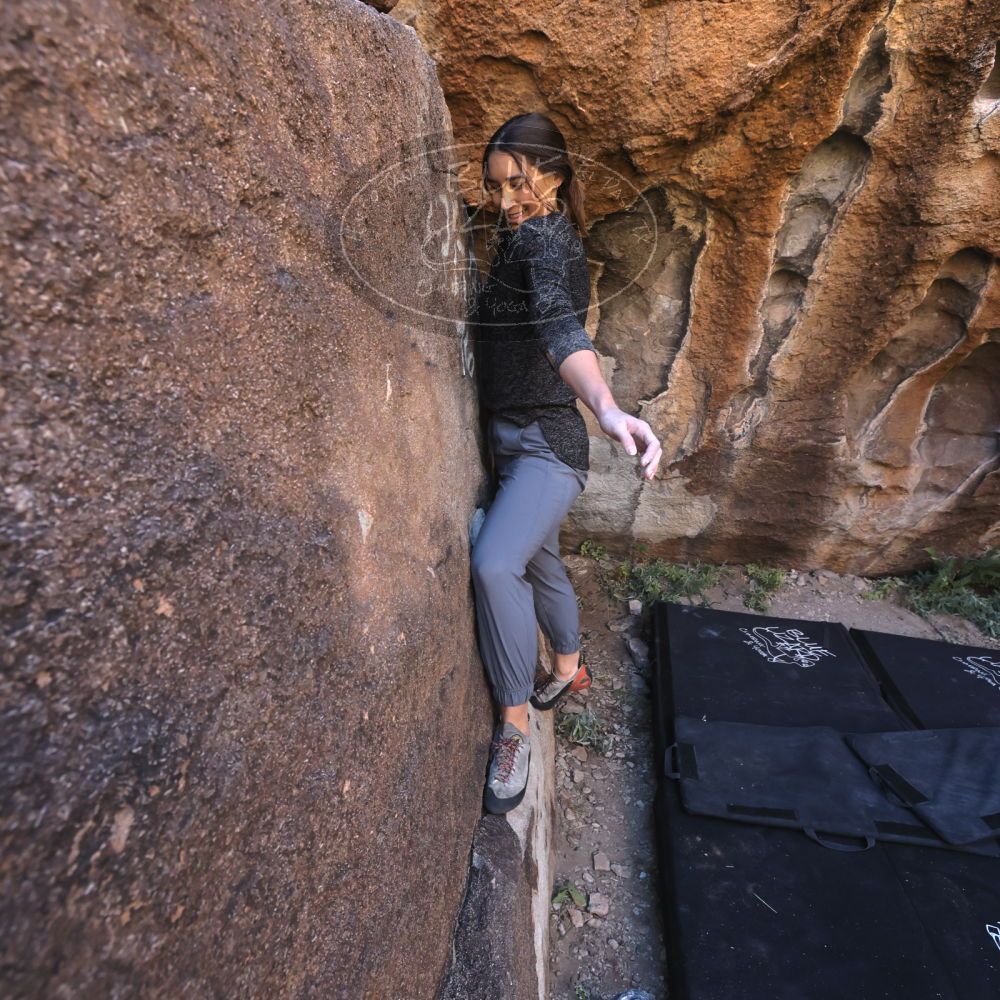 

Filename: SRM_20221127_1311110.jpg
Aperture: f/5.6
Shutter Speed: 1/500
Body: Canon EOS R6
Lens: Canon EF 16-35mm f/2.8 L