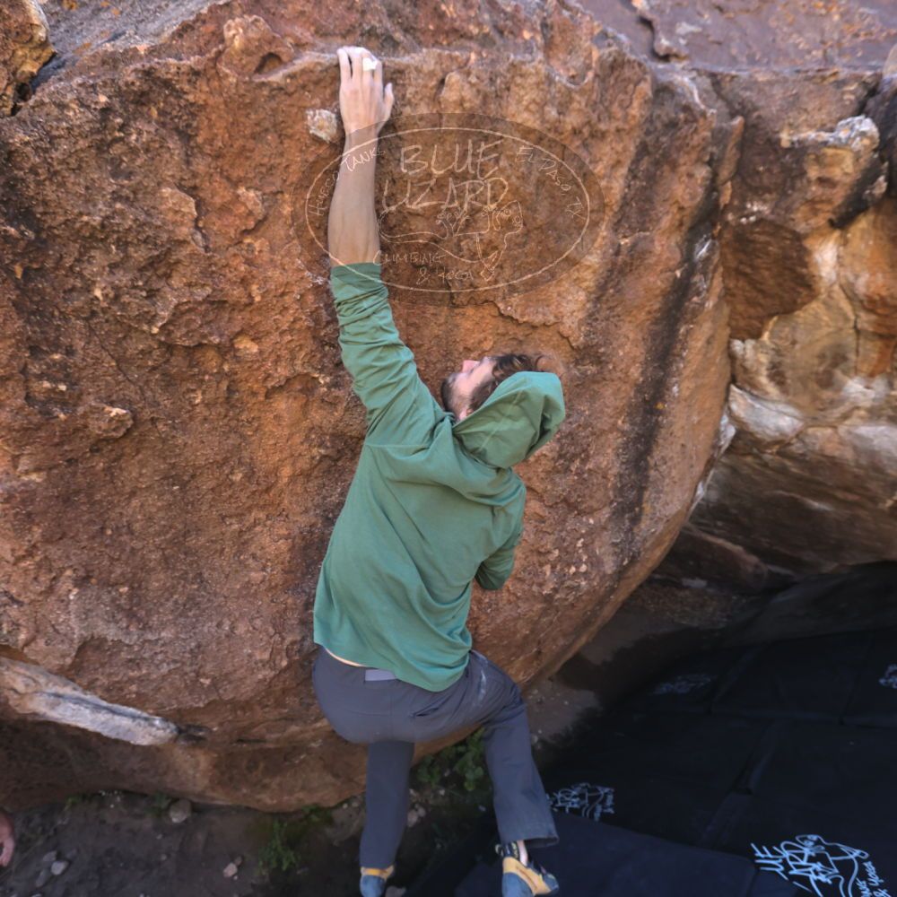 

Filename: SRM_20221127_1318190.jpg
Aperture: f/5.6
Shutter Speed: 1/500
Body: Canon EOS R6
Lens: Canon EF 16-35mm f/2.8 L