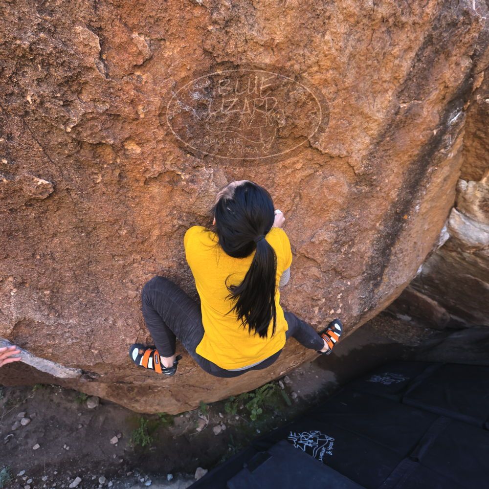 

Filename: SRM_20221127_1322230.jpg
Aperture: f/5.6
Shutter Speed: 1/500
Body: Canon EOS R6
Lens: Canon EF 16-35mm f/2.8 L