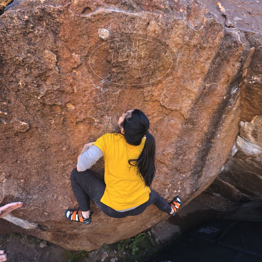 

Filename: SRM_20221127_1322240.jpg
Aperture: f/5.6
Shutter Speed: 1/500
Body: Canon EOS R6
Lens: Canon EF 16-35mm f/2.8 L